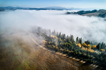 Fototapeta premium Stunning landscape with dense forests and rolling hills partially shrouded in soft, ethereal fog. Vibrant autumn colors of trees contrast beautifully with clear blue sky and distant mountain peaks.