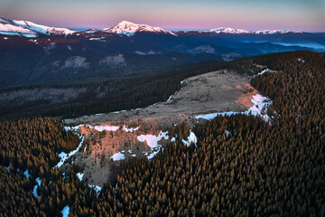 Naklejka premium Beautiful landscape of spruce trees, deforested hill and snow-caped mountains under evening sky