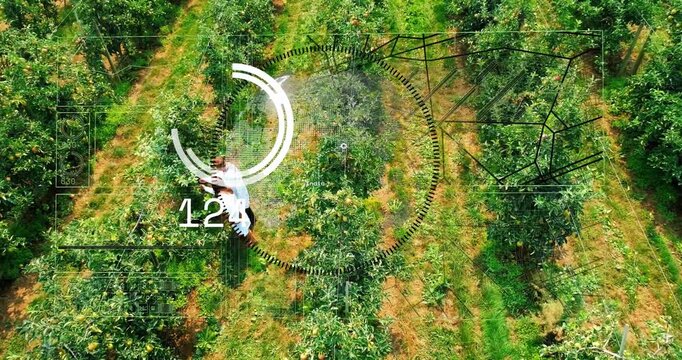 Approaching tree woman and man inspecting fruit for crop health while drone panning HUD updating