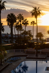 Obraz premium Sunset view on ocean, silhouettes of palm trees, swimming pool in Costa Adeje, Tenerife, Spain
