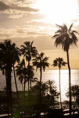 Obraz premium Sunset view on ocean, silhouettes of palm trees, swimming pool in Costa Adeje, Tenerife, Spain