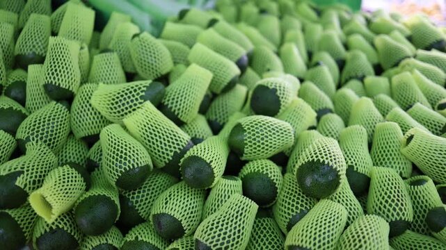 Fresh avocados packed in protective foam nets displayed in market showing food storage packaging texture and healthy organic produce concept