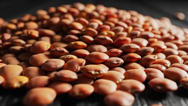 Close-up of a pile of brown broad beans seeds on a textured black wooden surface, selective focus