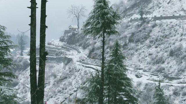 Live View of Snowfall from Hotel in Auli Laga, Uttarakhand, India