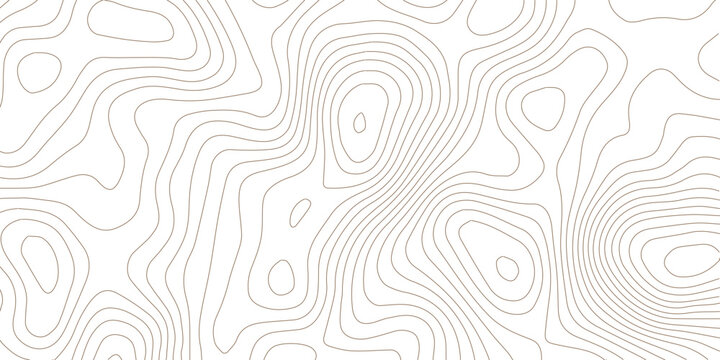 Geography landscape Topo contour map on white background, Topographic contour lines. Seamless pattern with lines Topographic map. Geographic mountain relief diagram line wave carve pattern. 