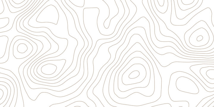 Abstract black and white topographic contours lines of mountains. Topography map art curve drawing. vector illustration. wave Line topography map contour background .background