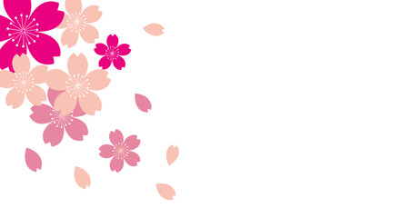 Fototapeta premium Minimalist Pink Cherry Blossom Vector Illustration with Sakura Flowers and Falling Petals on White Background with Copy Space