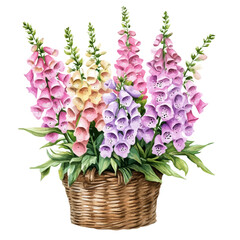 Foxglove Bouquet In A Basket A, watercolor clipart showing delicate textures and whimsical forms, isolated on a white background. © velora