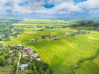 Obraz premium Waikabubak is the capital of West Sumba Regency, encircled by rice fields as seen from the hills, with the rice already turning yellow, awaiting the harvest