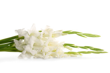 Fototapeta premium Beautiful gladiolus flowers isolated on white background, closeup