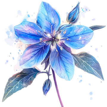 Borage Flower, fantasy semi-realistic artwork, subtle glow, watercolor textures, white background