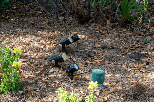 Diverse garden landscape lighting system featuring solar-powered spotlights and an LED uplight, integrated with a green irrigation control unit and vibrant yellow flowers amidst natural mulch.