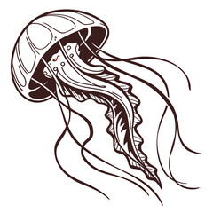 Vector jellyfish illustration in brown and white © Avhijit