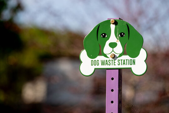 A decorative dog waste station sign featuring a cartoon green beagle is mounted on a bright purple post in a public park, the sign displaying dog park rules in a clean, graphic format. 
