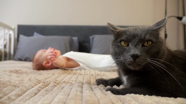 Sleeping Baby In Cozy Room With Attentive Cat Present. Quiet Scene Of Infant Sleeping Beside Watchful Feline In Home. Peaceful Home Environment Showing Resting Child Near Keeneyed Domestic Cat