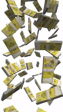 Vertical Brunei Money, Falling Brunei Dollar Bills, Cash Stacks Isolated on White, 4K