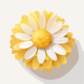 Sanfte gelbe Margerite