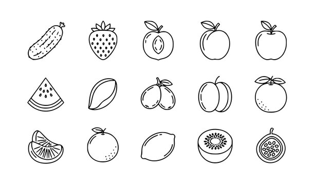 Thin line fresh fruit icon set with cucumber strawberry watermelon mango kiwi and citrus outline vector collection