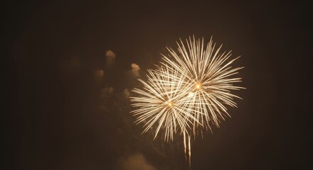 Obraz premium Golden fireworks against a dark sky, celebrating a special occasion.