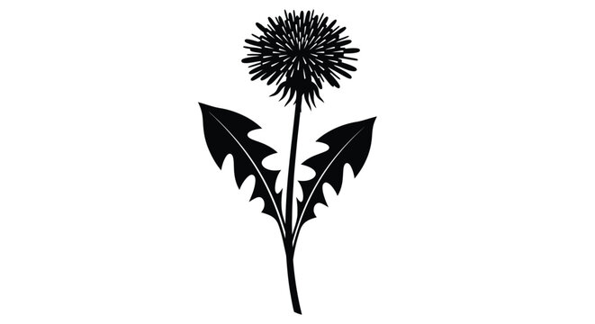 Silhouette of a dandelion flower with leaves