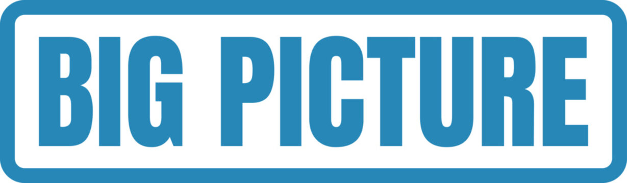 A bold blue rectangular sign with the words big picture written in a clear sans-serif font style Vector, illustration Stamp Icon.