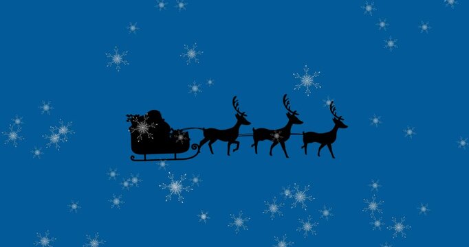 Animation of snowflakes falling over silhouette of santa claus in sleigh being pulled by reindeers