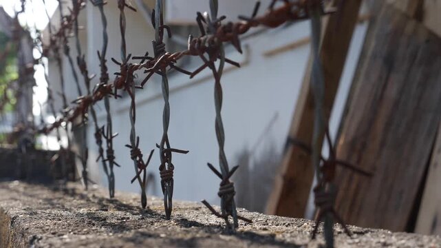 Barbed wire stretches along a fence line fixed against a building wall forming a protective boundary structure with sharp metal spikes along the length. Security barrier.