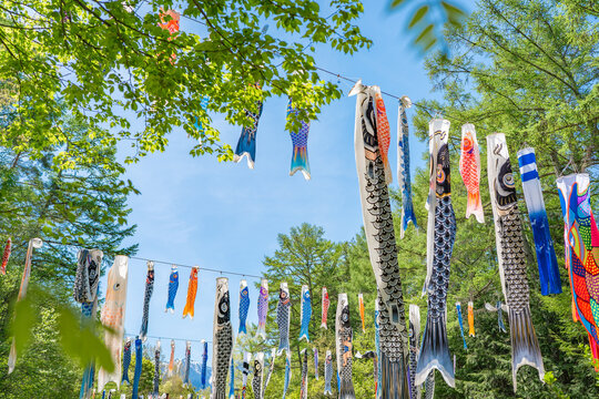 青空と鯉のぼりと新緑 こどもの日の風景 5月 端午の節句