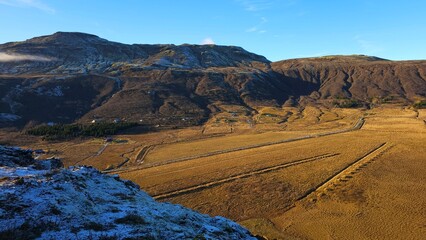 Żółte pole widziane z góry © Asnyko