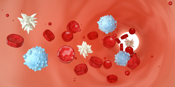 Blood components. Blood vessel with blood cells. Red Blood Cells, White Blood Cells and Platelets.	