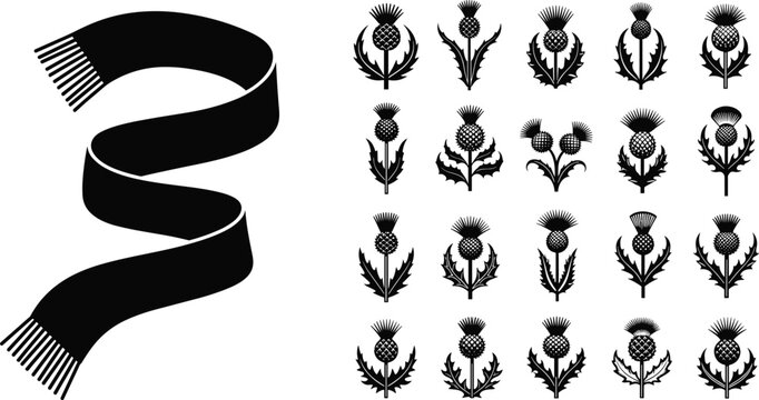Scottish thistle and tartan scarf vector set featuring traditional Scotland symbols, floral emblems, heritage elements and cultural design collection