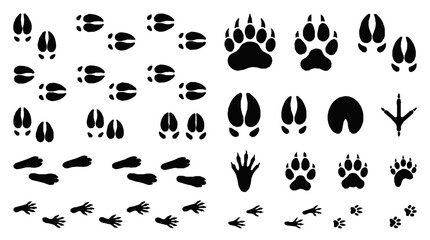 Fototapeta premium Wildlife trail print collection set with various animal footprints and tracks on white background for outdoor and nature designs