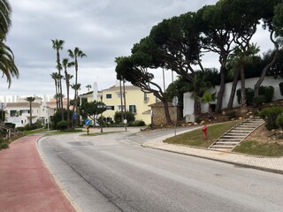 Naklejka premium Curved park pathway with road signs