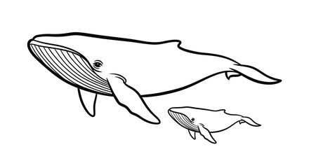 Illustration of a large whale and its calf depicted in a simple line drawing style © Kawsar_Studio1998