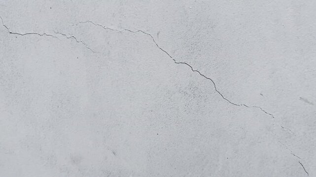 Concrete Wall With Prominent Crack Texture