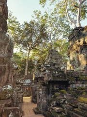 Naklejka premium Ancient Ta Prohm Temple Ruins Angkor Wat Cambodia Stone Structure