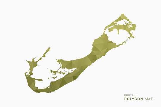 Bermuda polygon map vector illustration in low poly geometric style, soft pastel colors with Olive green, clean silhouette on solid background, ideal for infographic.