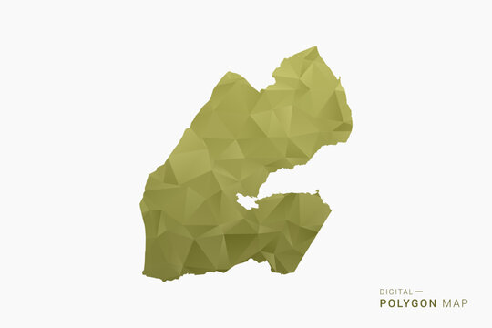 Djibouti polygon map vector illustration in low poly geometric style, soft pastel colors with Olive green, clean silhouette on solid background, ideal for infographic.