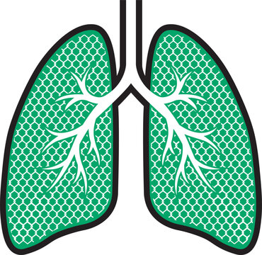 Manual Vector Illustration of Human Lungs with Mosquito Net Pattern for Protection Concept.