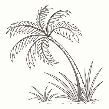 Palm tree sapling isolated on white background vector illustration