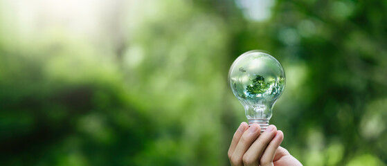 Fototapeta premium Green energy and renewable energy concept, environmental sustainability, eco friendly technology, global warming solution. Hand holding light bulb with green world globe inside on nature background.