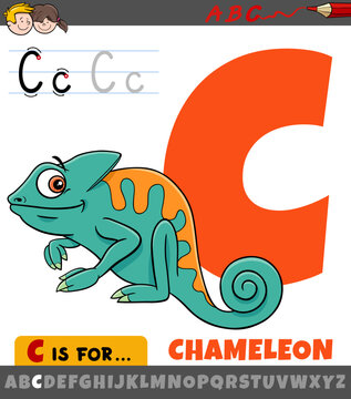 letter C from alphabet with cartoon chameleon animal character