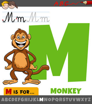 letter M from alphabet with cartoon monkey animal character