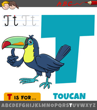 letter T from alphabet with cartoon toucan bird animal character