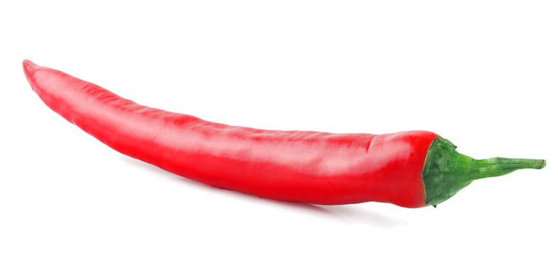 Pepper bitter on white background isolated