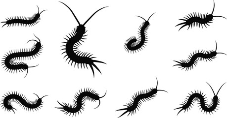 Centipede silhouette icons, crawling millipede insect symbols, venomous arthropod wildlife elements, pest control bug silhouettes, creepy invertebrate vector illustrations. © Rebeka