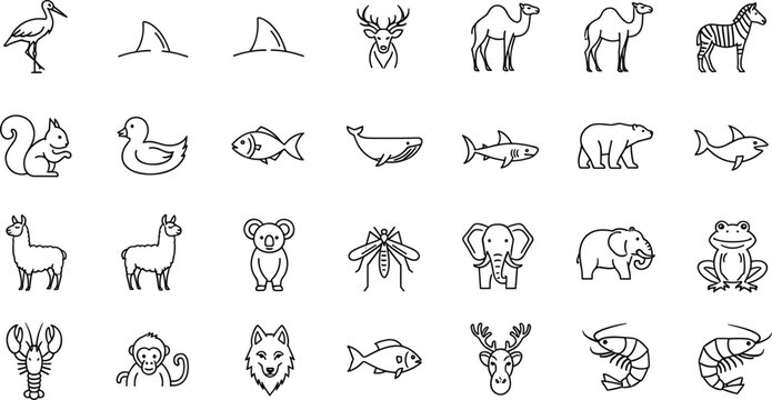 Animal Outline Icon Set with Wildlife, Marine, and Farm Animals Including Fish, Camel, Elephant, Deer, Zebra, and More in Line Style