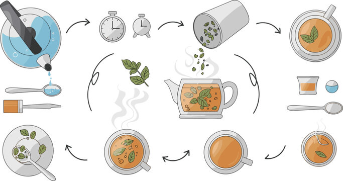 Herbal tea preparation process with brewing steps ingredients teapot and cups infusion workflow vector illustration set