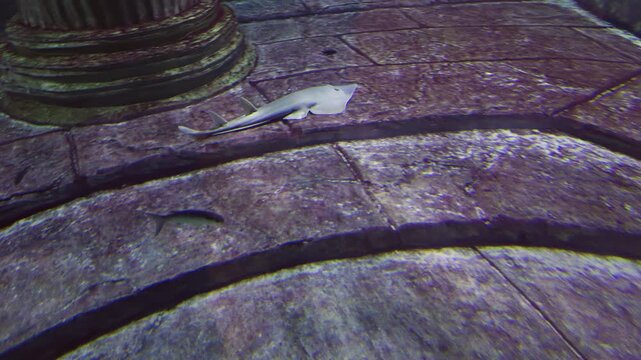 Ancient Stone Column Underwater In A Mysterious Aquarium With Stingrays