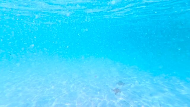 Snorkeling Over Starfish In Turquoise Water, Starfish Beach Phu Quoc